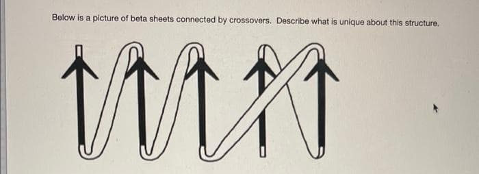 Below is a picture of beta sheets connected by crossovers. Describe what is unique about this structure.