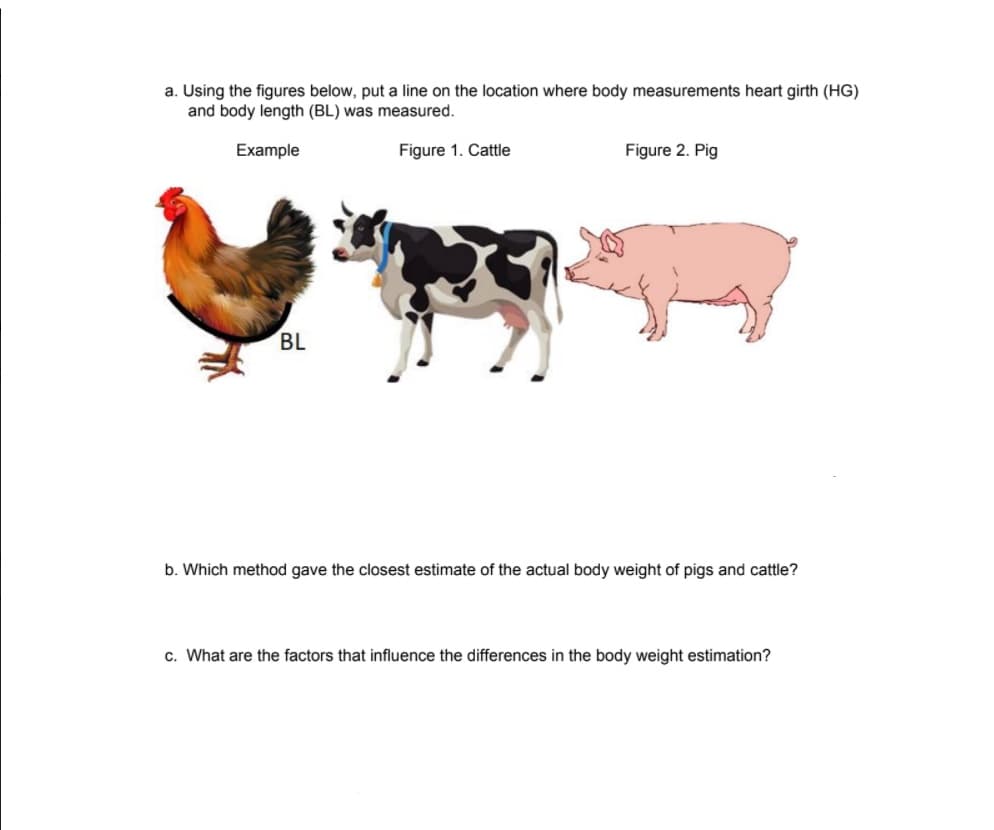 a. Using the figures below, put a line on the location where body measurements heart girth (HG)
and body length (BL) was measured.
Example
Figure 1. Cattle
Figure 2. Pig
BL
b. Which method gave the closest estimate of the actual body weight of pigs and cattle?
c. What are the factors that influence the differences in the body weight estimation?
