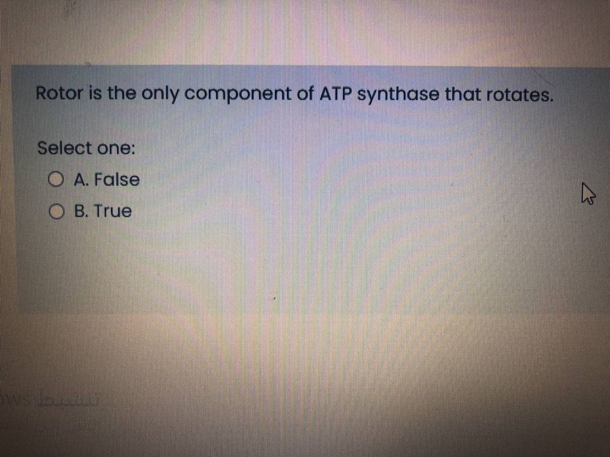 Rotor is the only component of ATP synthase that rotates.
Select one:
O A. False
O B. True

