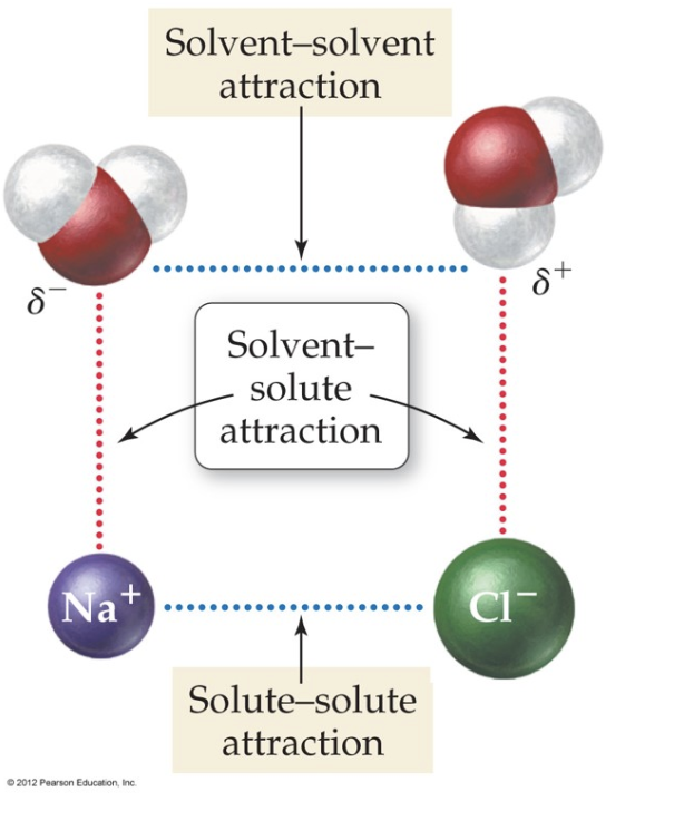 Solvent-solvent
attraction
Solvent-
solute
attraction
Na+
Solute-solute
attraction
O 2012 Pearson Education, Inc.
+
