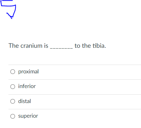 The cranium is
to the tibia.
O proximal
O inferior
O distal
O superior
