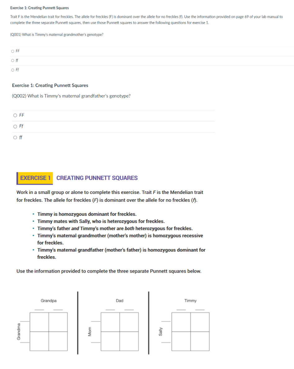 Exercise 1: Creating Punnett Squares
Trait Fis the Mendelian trait for freckles. The allele for freckles (F) is dominant over the allele for no freckles (f). Use the information provided on page 69 of your lab manual to
complete the three separate Punnett squares, then use those Punnett squares to answer the following questions for exercise 1.
(Q001) What is Timmy's maternal grandmother's genotype?
O F
OFf
Exercise 1: Creating Punnett Squares
(QO002) What is Timmy's maternal grandfather's genotype?
O F
O Ff
Off
EXERCISE 1 CREATING PUNNETT SQUARES
Work in a small group or alone to complete this exercise. Trait Fis the Mendelian trait
for freckles. The allele for freckles (F) is dominant over the allele for no freckles (f).
• Timmy is homozygous dominant for freckles.
• Timmy mates with Sally, who is heterozygous for freckles.
• Timmy's father and Timmy's mother are both heterozygous for freckles.
• Timmy's maternal grandmother (mother's mother) is homozygous recessive
for freckles.
• Timmy's maternal grandfather (mother's father) is homozygous dominant for
freckles.
Use the information provided to complete the three separate Punnett squares below.
Grandpa
Dad
Timmy
