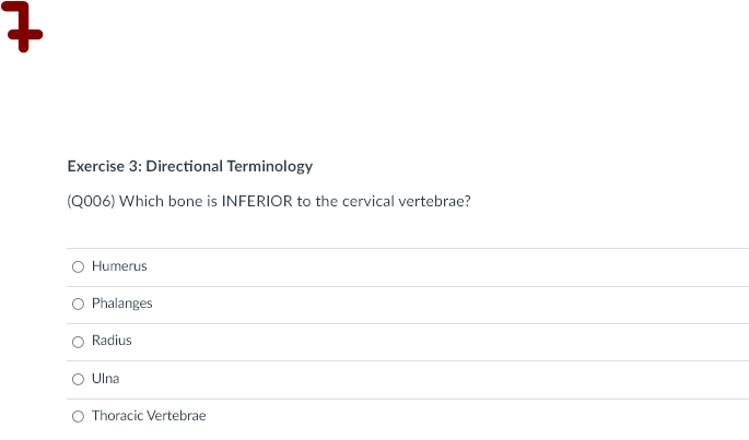 Exercise 3: Directional Terminology
(Q006) Which bone is INFERIOR to the cervical vertebrae?
Humerus
Phalanges
Radius
O Ulna
O Thoracic Vertebrae
