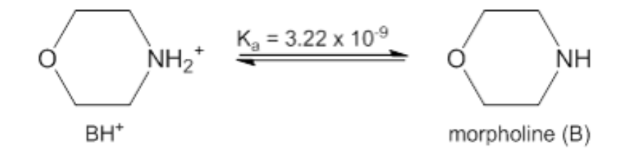 Kg = 3.22 x 109
NH,*
NH
BH*
morpholine (B)
