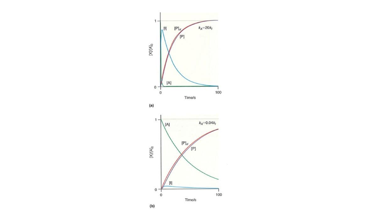 1
(P)d
KA-20k,
[P]
[A]
100
Time/s
(а)
(A]
KA=0.04k,
[P]
[P]
()
100
Timels
(b)
