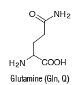 NH2
H2N
Glutamine (Gln, Q)
COOH
