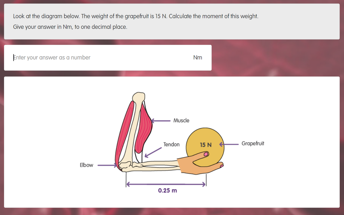 Look at the diagram below. The weight of the grapefruit is 15 N. Calculate the moment of this weight.
Give your answer in Nm, to one decimal place.
Enter your answer as a number
Nm
Muscle
Tendon
15 N
Grapefruit
Elbow
0.25 m
