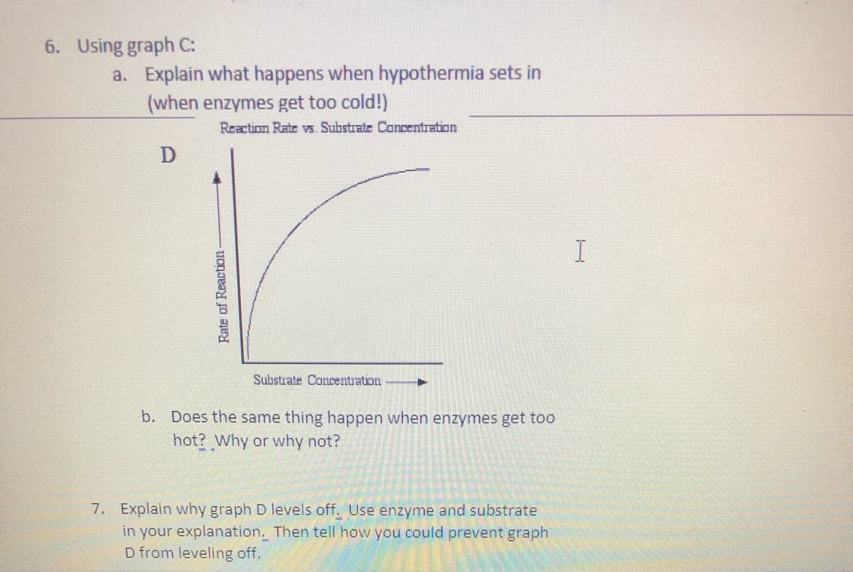6. Using graph C:
a. Explain what happens when hypothermia sets in
(when enzymes get too cold!)
Reaction Rate vs Substrate Concentration
I
Substrate Concentuation
b. Does the same thing happen when enzymes get too
hot? Why or why not?
7. Explain why graph D levels off. Use enzyme and substrate
in your explanation. Then tell how you could prevent graph
D from leveling off.
Rate of Reaction -
