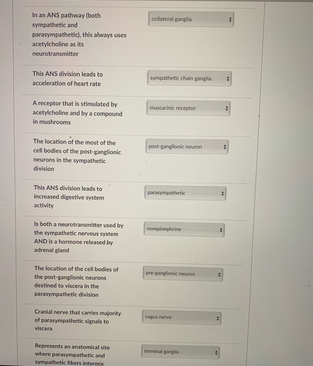 In an ANS pathway (both
collateral ganglia
sympathetic and
parasympathetic), this always uses
acetylcholine as its
neurotransmitter
This ANS division leads to
sympathetic chain ganglia
acceleration of heart rate
A receptor that is stimulated by
acetylcholine and by a compound
in mushrooms
muscarinic receptor
The location of the most of the
post-ganglionic neuron
cell bodies of the post-ganglionic
neurons in the sympathetic
division
This ANS division leads to
parasympathetic
increased digestive system
activity
Is both a neurotransmitter used by
norepinephrine
the sympathetic nervous system
AND is a hormone released by
adrenal gland
The location of the cell bodies of
pre-ganglionic neuron
the post-ganglionic neurons
destined to viscera in the
parasympathetic division
Cranial nerve that carries majority
of parasympathetic signals to
vagus nerve
viscera
Represents an anatomical site
terminal ganglia
where parasympathetic and
sympathetic fibers intermix

