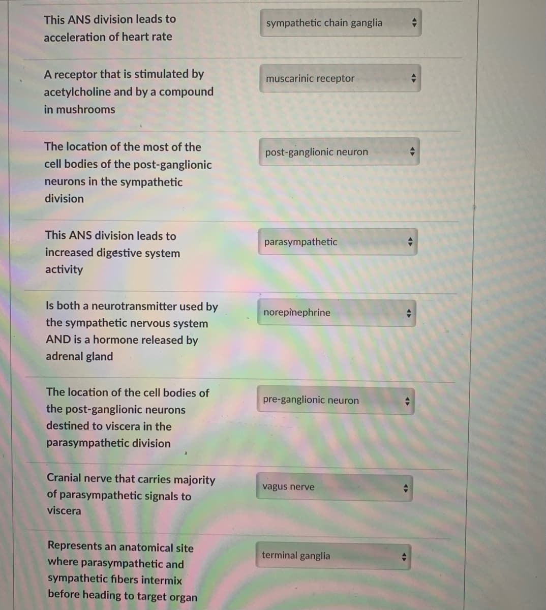 This ANS division leads to
sympathetic chain ganglia
acceleration of heart rate
A receptor that is stimulated by
muscarinic receptor
acetylcholine and by a compound
in mushrooms
The location of the most of the
post-ganglionic neuron
cell bodies of the post-ganglionic
neurons in the sympathetic
division
This ANS division leads to
parasympathetic
increased digestive system
activity
Is both a neurotransmitter used by
norepinephrine
the sympathetic nervous system
AND is a hormone released by
adrenal gland
The location of the cell bodies of
pre-ganglionic neuron
the post-ganglionic neurons
destined to viscera in the
parasympathetic division
Cranial nerve that carries majority
vagus nerve
of parasympathetic signals to
viscera
Represents an anatomical site
terminal ganglia
where parasympathetic and
sympathetic fibers intermix
before heading to target organ
