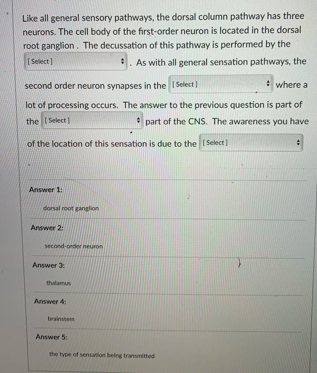 Like all general sensory pathways, the dorsal column pathway has three
neurons. The cell body of the first-order neuron is located in the dorsal
root ganglion. The decussation of this pathway is performed by the
[ Select ]
. As with all general sensation pathways, the
second order neuron synapses in the [ Select ]
+ where a
lot of processing occurs. The answer to the previous question is part of
the [Select]
* part of the CNS. The awareness you have
of the location of this sensation is due to the [Select]
Answer 1:
dorsal root ganglion
Answer 2:
second-order neuron
Answer 3:
thalamus
Answer 4:
brainstem
Answer 5:
the type of sensation being transmitted
