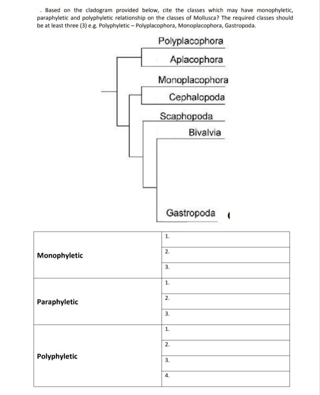 . Based on the cladogram provided below, cite the classes which may have monophyletic,
paraphyletic and polyphyletic relationship on the classes of Mollusca? The required classes should
be at least three (3) e.g. Polyphyletic - Polyplacophora, Monoplacophora, Gastropoda.
Monophyletic
Paraphyletic
Polyphyletic
Polyplacophora
Aplacophora
Monoplacophora
Cephalopoda
Scaphopoda
Gastropoda (
1.
2.
3.
1.
2.
3.
1.
2.
3.
Bivalvia
4.