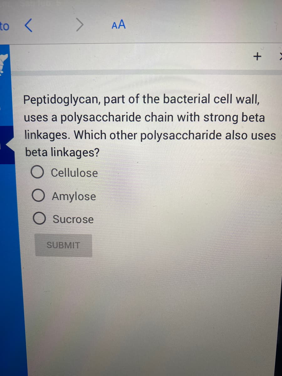 to <
AA
+
Peptidoglycan, part of the bacterial cell wall,
uses a polysaccharide chain with strong beta
linkages. Which other polysaccharide also uses
beta linkages?
O Cellulose
O Amylose
O Sucrose
SUBMIT
