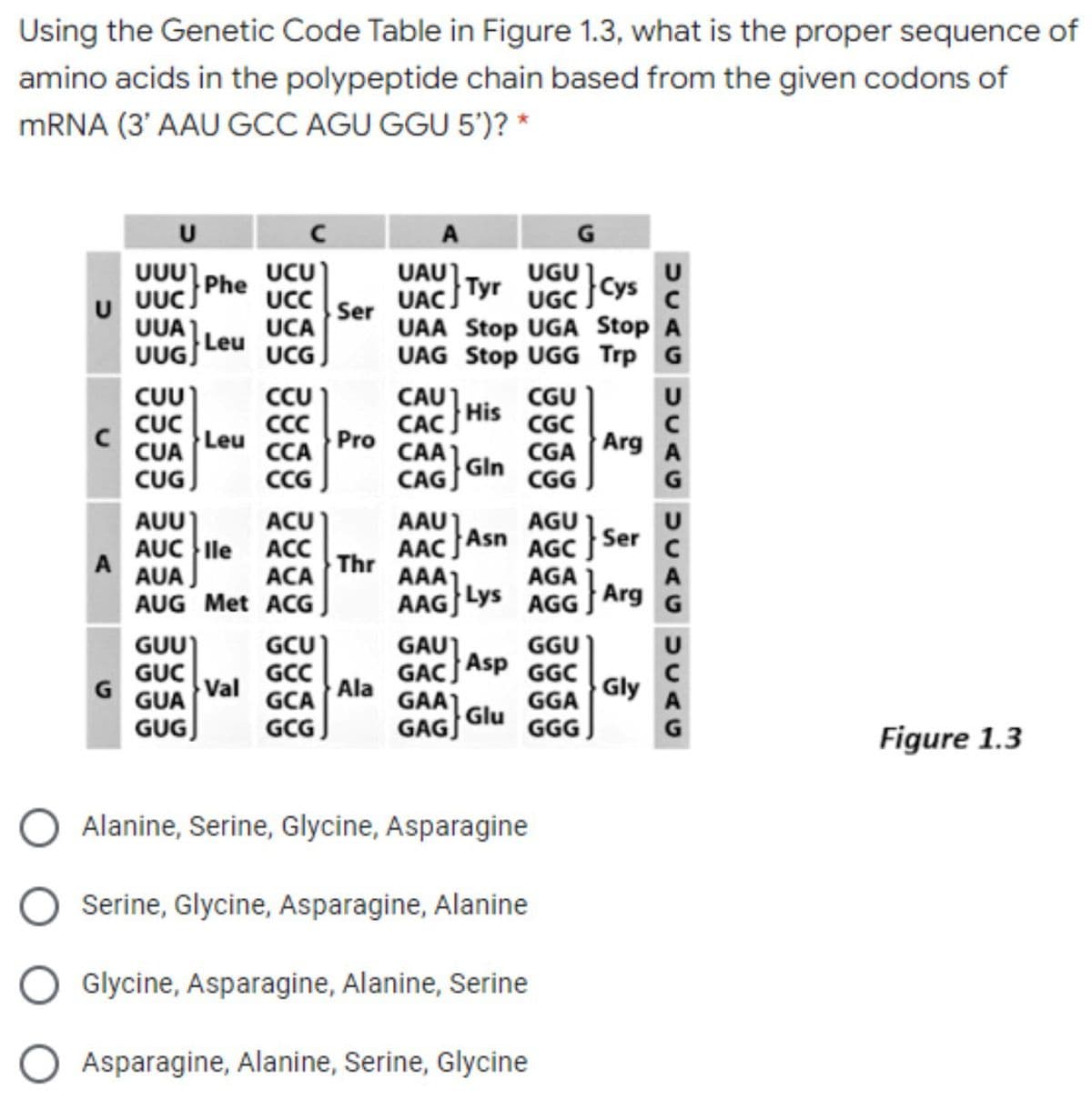 Using the Genetic Code Table in Figure 1.3, what is the proper sequence of
amino acids in the polypeptide chain based from the given codons of
MRNA (3' AAU GCC AGU GGU 5')? *
U
UUU Phe UCU)
UC
UCA
UCG
UAU]
UAC Tyr
UAA Stop UGA Stop A
UAG Stop UGG Trp G
UGU
U UUC)
UGC Cys
Ser
UUA
Leu
UUGJ
CU)
CCU
CAU1
CGU
His
CUC
CAC
CAA
CGC
CC
Leu
CCA
Pro
Arg
CUA
CGA
A
Gin
CUG)
CG
CAG
CGG
G
AUU)
ACU)
AGU
AAU1
Asn
AAC,
Thr
AAA1
U
AGC }Ser č
A
G
AUC lle ACC
A
AUA J
ACA
AGA
AUG Met ACG,
AAG}Lys AGG Arg
GGU
GUU)
GUC
Val
GCU)
GCC
GCA
GCG J
GAU1
Asp
GACI
Ala
GGC
GGA
GGG )
G
GUA
Gly
GAA1
GAG)
A
Glu
GUG)
G
Figure 1.3
Alanine, Serine, Glycine, Asparagine
Serine, Glycine, Asparagine, Alanine
Glycine, Asparagine, Alanine, Serine
Asparagine, Alanine, Serine, Glycine
