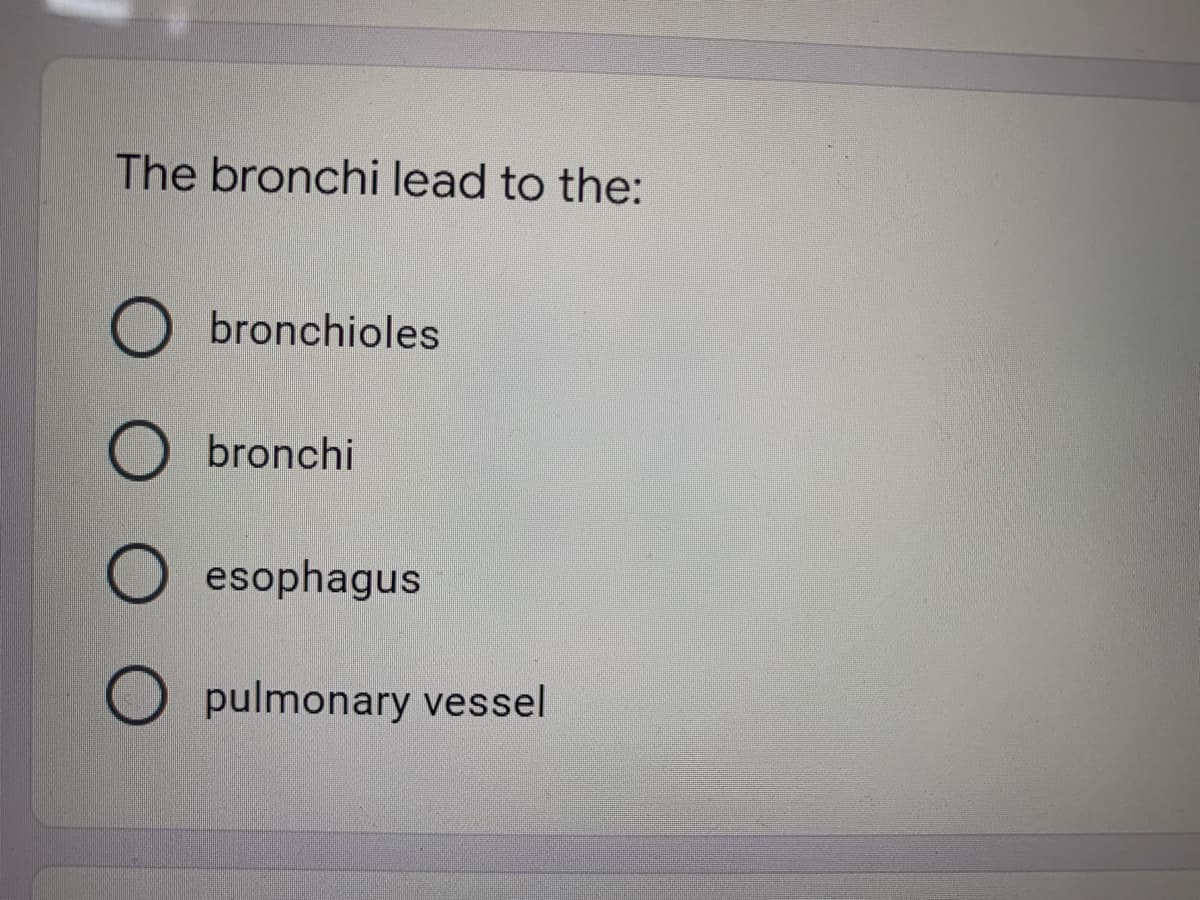 The bronchi lead to the:
Obronchioles
Obronchi
esophagus
Opulmonary vessel