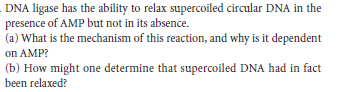 DNA ligase has the ability to relax supercoiled circular DNA in the
presence of AMP but not in its absence.
(a) What is the mechanism of this reaction, and why is it dependent
on AMP?
(b) How might one determine that supercoiled DNA had in fact
been relaxed?
