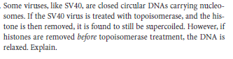 Some viruses, like SV40, are closed circular DNAS carrying nucleo-
somes. If the SV40 virus is treated with topoisomerase, and the his-
tone is then removed, it is found to still be supercoiled. However, if
histones are removed before topoisomerase treatment, the DNA is
relaxed. Explain.
