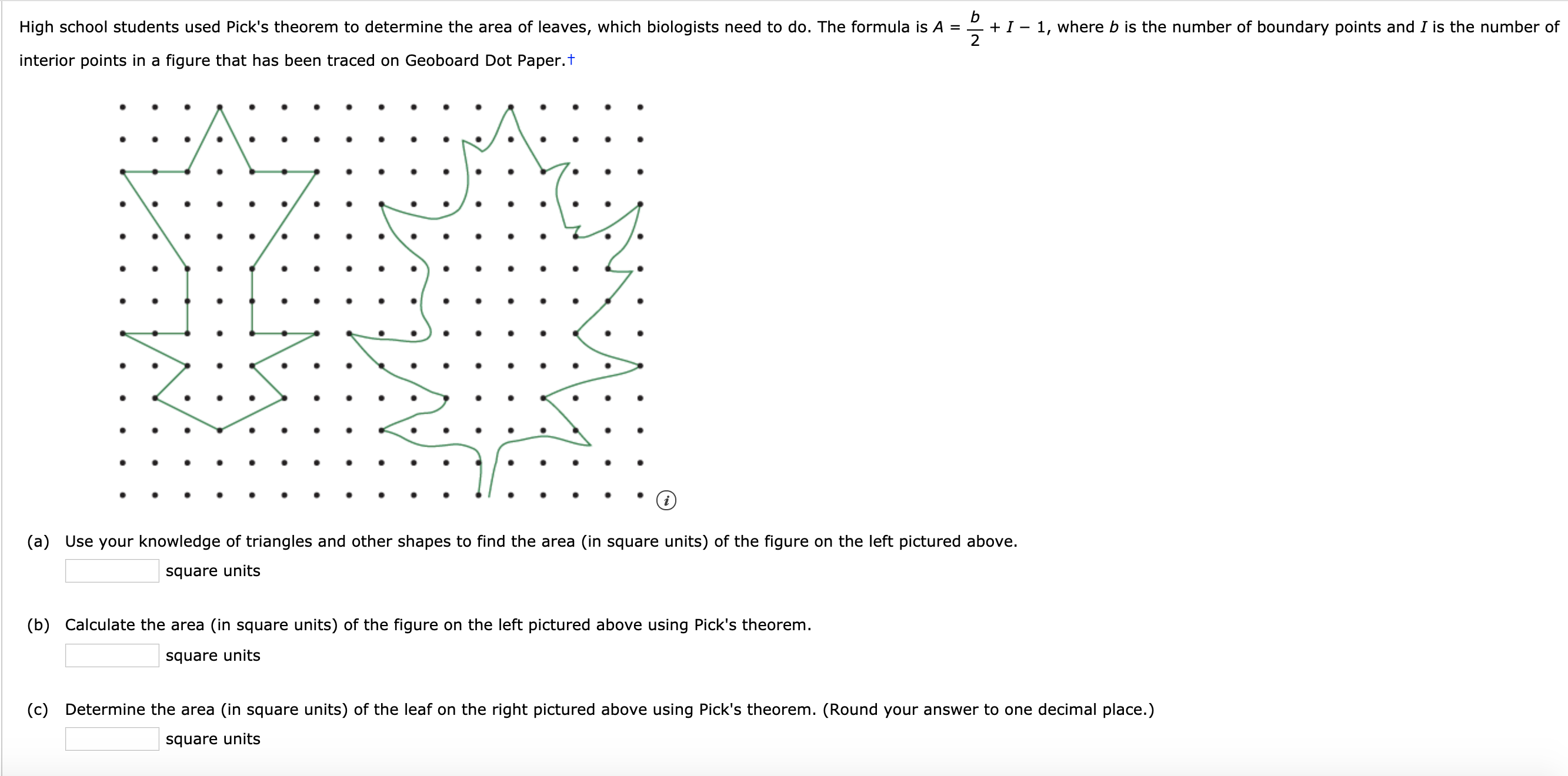 High school students used Pick's theorem to determine the area of leaves, which biologists need to do. The formula is A =
+ I – 1, where b is the number of boundary points and I is the number of
2
interior points in a figure that has been traced on Geoboard Dot Paper.t
(a) Use your knowledge of triangles and other shapes to find the area (in square units) of the figure on the left pictured above.
square units
(b) Calculate the area (in square units) of the figure on the left pictured above using Pick's theorem.
square units
(c) Determine the area (in square units) of the leaf on the right pictured above using Pick's theorem. (Round your answer to one decimal place.)
square units
