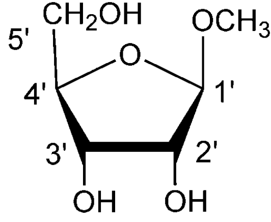 CH2OH
5'
OCH3
4'
1'
3'
2'
ОН
ОН
