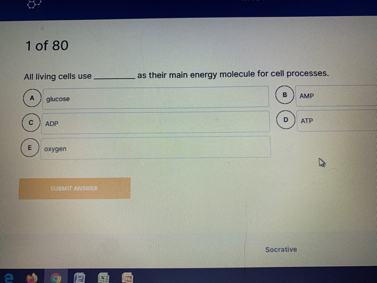 1 of 80
All living cells use
as their main energy molecule for cell processes.
AMP
glucose
D
ATP
ADP
E
охyдen
SUBMIT ANSWER
Socrative
WE
