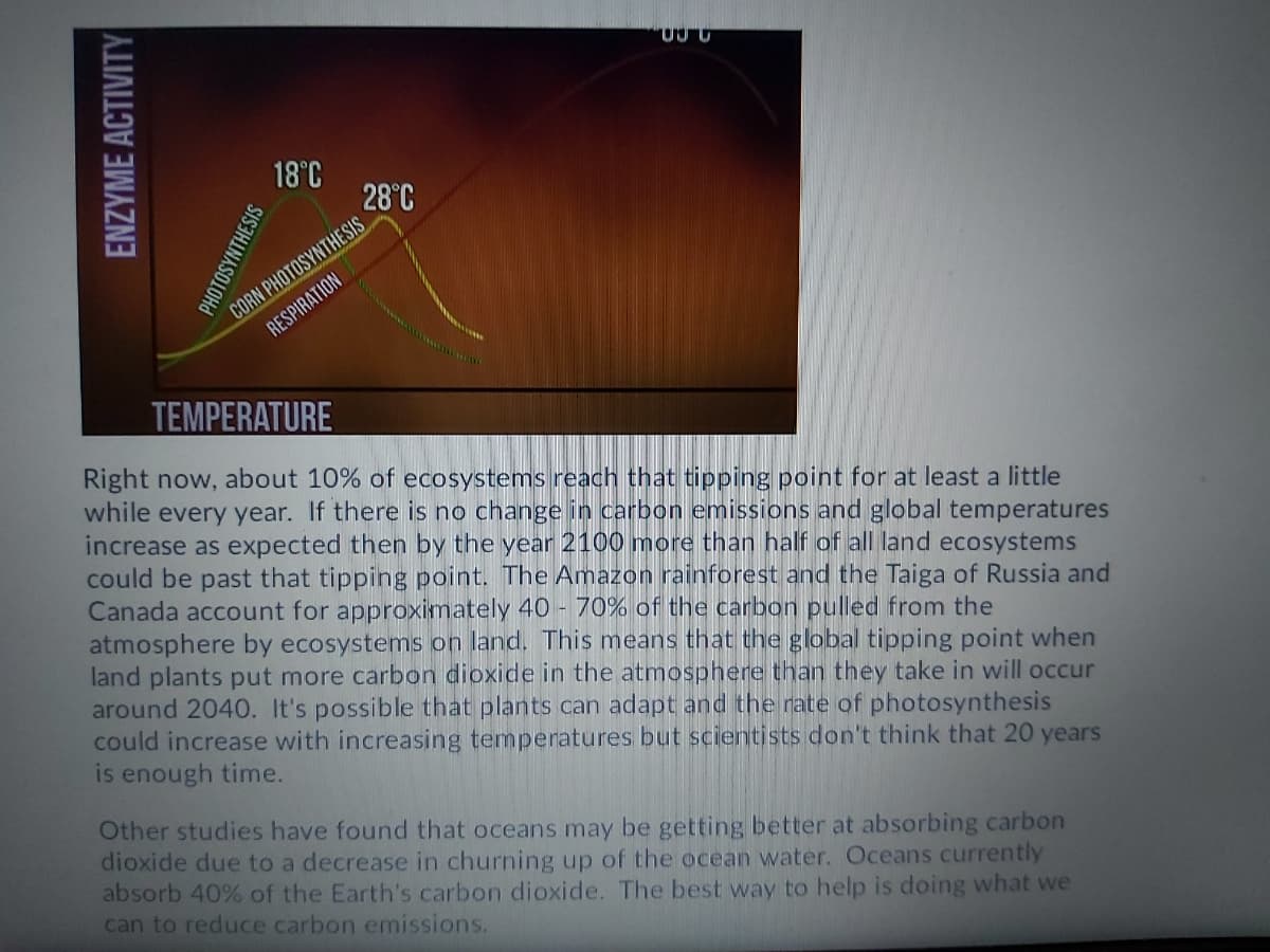 18°C
28°C
CORN PHOTOSYNTHESIS
RESPIRATION
TEMPERATURE
Right now, about 10% of ecosystems reach that tipping point for at least a little
while every year. If there is no change in carbon emissions and global temperatures
increase as expected then by the year 2100 more than half of all land ecosystems
could be past that tipping point. The Amazon rainforest and the Taiga of Russia and
Canada account for approximately 40 - 70% of the carbon pulled from the
atmosphere by ecosystems on land. This means that the global tipping point when
land plants put more carbon dioxide in the atmosphere than they take in will occur
around 2040. It's possible that plants can adapt and the rate of photosynthesis
could increase with increasing temperatures but scientjsts don't think that 20 years
is enough time.
Other studies have found that oceans may be getting better at absorbing carbon
dioxide due to a decrease in churning up of the ocean water. Oceans currently
absorb 40% of the Earth's carbon dioxide. The best way to help is doing what we
can to reduce carbon emissions.
ENZYME ACTIVITY
PHOTOSYNTHESIS
