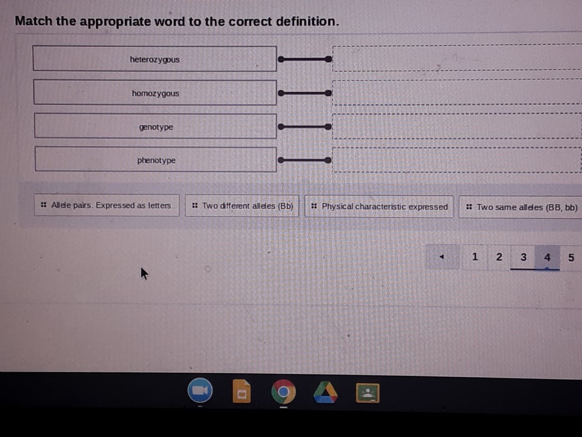 Match the appropriate word to the correct definition.
heterozygous
homozygous
genotype
phenotype
: Allele pairs. Expressed as letters.
: Two different alleles (Bb)
: Physical characteristic expressed
: Two same alleles (BB, bb)
3
4)
