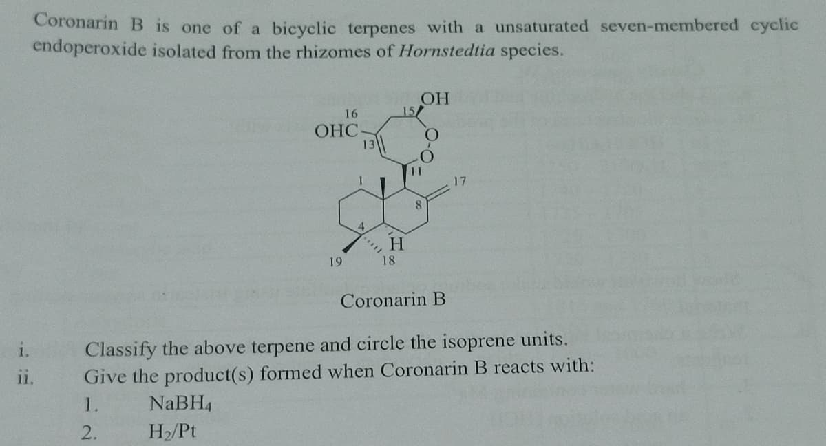 Coronarin B is one of a bicyclic terpenes with a unsaturated seven-membered cyclic
endoperoxide isolated from the rhizomes of Hornstedtia species.
OH
15
16
ОНС
17
4
19
18
Coronarin B
Classify the above terpene and circle the isoprene units.
Give the product(s) formed when Coronarin B reacts with:
i.
i.
1.
NaBH4
2.
H2/Pt
