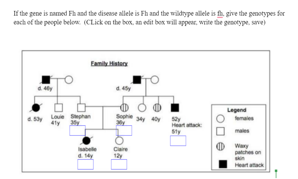 If the gene is named Fh and the disease allele is Fh and the wildtype allele is fh, give the genotypes for
each of the people below. (CLick on the box, an edit box will appear, write the genotype, save)
Family History
d. 46y
d. 45y
Legend
Sophie
36у
d. 53y
Louie Stephan
females
52y
Heart attack:
51y
34y 40y
41y
35y
males
Isabelle
d. 14y
0 Waxy
patches on
skin
Claire
12y
Heart attack
