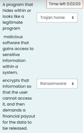 A program that
Time left 0:02:03
hides within or
looks like a
Trojan horse
legitimate
program
malicious
software that
gains access to
sensitive
information
within a
system,
encrypts that
Ransomware
information so
that the user
cannot access
it, and then
demands a
financial payout
for the data to
be released.

