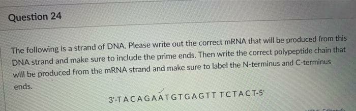 Question 24
The following is a strand of DNA. Please write out the correct MRNA that will be produced from this
DNA strand and make sure to include the prime ends. Then write the correct polypeptide chain that
will be produced from the mRNA strand and make sure to label the N-terminus and C-terminus
ends.
3'-TACAGAATGTGAGTT TCTACT-5
