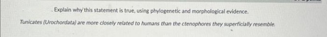 Explain why this statement is true, using phylogenetic and morphological evidence.
Tunicates (Urochordata)
are more closely related to humans than the ctenophores they superficially resemble.