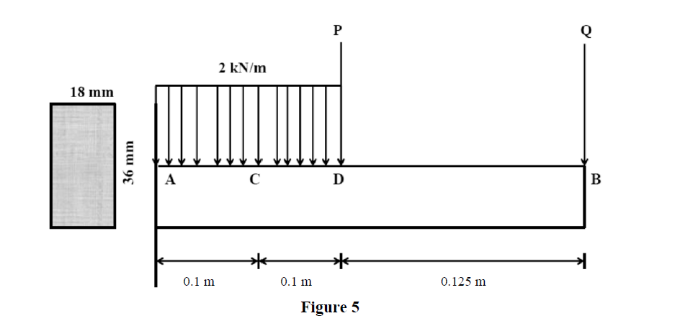 P
2 kN/m
18 mm
A
D
B
0.1 m
0.1 m
0.125 m
Figure 5
36 mm
