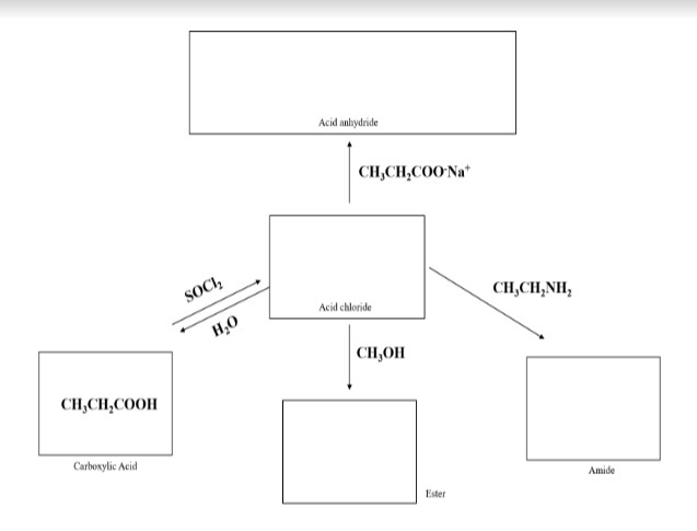 CH,CH,COOH
Carboxylic Acid
SOCI₂
H₂O
Acid anhydride
CH₂CH₂COO-Na
Acid chloride
CH,OH
Ester
CH,CH,NH,
Amide