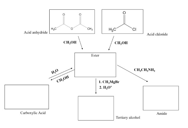 Acid anhydride
Carboxylic Acid
H₂C
CH₂OH
H₂O
CH,OH
CH3
Ester
H₂C
O
CH₂OH
1. CH₂MgBr
2. H₂O*
Acid chloride
CH,CH,NH,
Tertiary alcohol
Amide
