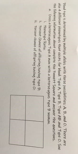 Blood type is determined by multiple alleles with three possibilities: A, B, and O. There are
also 4 different phenotypes that exists for blood: Type A, Type B, Type AB and Type O. Sue
the following information about complete the Punnett Square and answer the questions.
a. Cross a heterozygous Type A man with a heterozygous type B woman.
i. Phenotype Ratio:
ii. Percent Chance of offspring having type B:
iii. Percent chace of offspring having type O:
