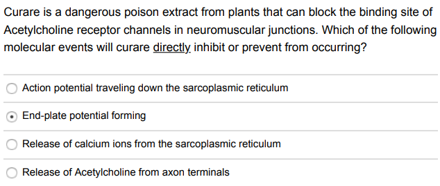 Curare is a dangerous poison extract from plants that can block the binding site of
Acetylcholine receptor channels in neuromuscular junctions. Which of the following
molecular events will curare directly inhibit or prevent from occurring?
Action potential traveling down the sarcoplasmic reticulum
End-plate potential forming
Release of calcium ions from the sarcoplasmic reticulum
Release of Acetylcholine from axon terminals
