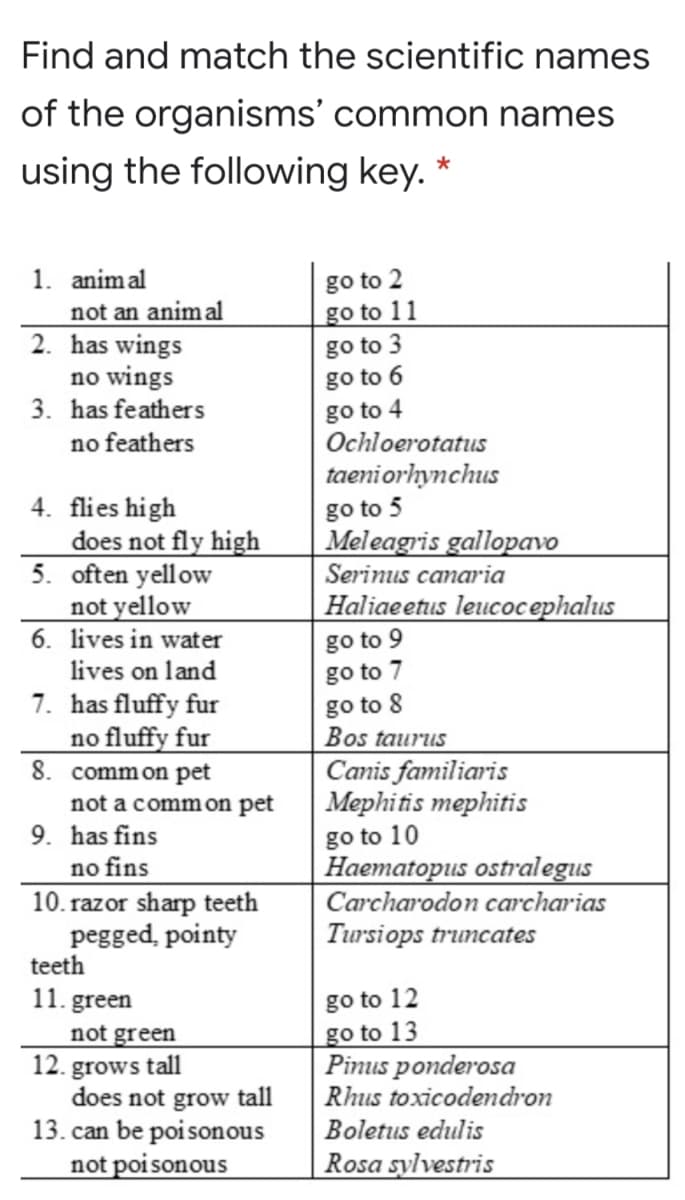 Find and match the scientific names
of the organisms' common names
using the following key. *
1. animal
not an animal
2. has wings
no wings
3. has feathers
go to 2
go to 11
go to 3
go to 6
go to 4
Ochloerotatus
no feathers
taeniorhynchus
4. flies high
does not fly high
5. often yellow
not yellow
6. lives in water
go to 5
Meleagris gallopavo
Serinus canaria
Haliaeetus leucoc ephalus
go to 9
go to 7
go to 8
Bos taurus
Canis familiaris
Mephitis mephitis
lives on land
7. has fluffy fur
no fluffy fur
8. common pet
not a common pet
9. has fins
no fins
10. razor sharp teeth
pegged, pointy
teeth
go to 10
Haematopus ostralegus
Carcharodon carcharias
Tursiops truncates
11. green
not green
12. grows tall
does not grow tall
13. can be poisonous
not poi sonous
go to 12
go to 13
Pinus ponderosa
Rhus toxicodendron
Boletus edulis
Rosa sylvestris
