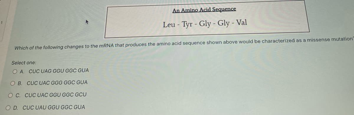 1
An Amino Acid Sequence
Leu - Tyr - Gly-Gly - Val
Which of the following changes to the mRNA that produces the amino acid sequence shown above would be characterized as a missense mutation?
Select one:
O A. CUC UAG GGU GGC GUA
OB. CUC UAC GGG GGC GUA
OC. CUC UAC GGU GGC GCU
O D. CUC UAU GGU GGC GUA