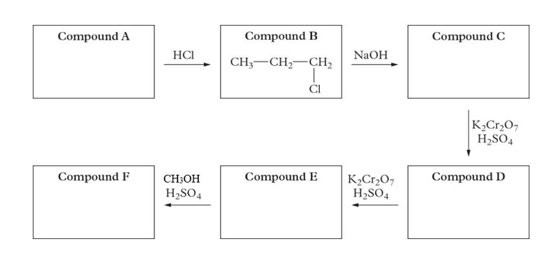 Compound A
Compound F
HCI
CH3OH
H₂SO4
Compound B
CH3 CH₂ CH₂
1
CI
Compound E
NaOH
K₂Cr₂O7
H₂SO4
Compound C
K₂Cr₂O7
H₂SO4
Compound D