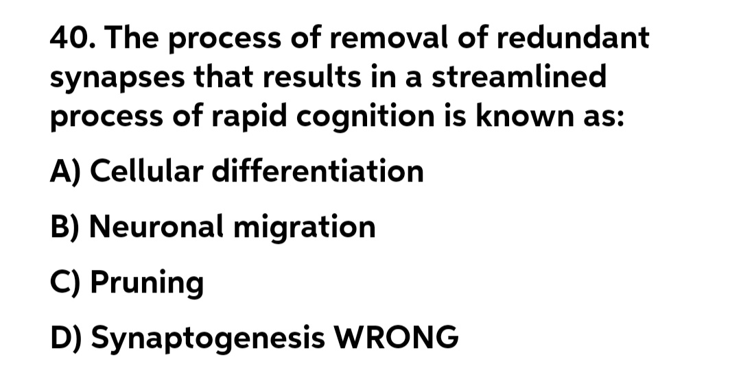 40. The process of removal of redundant
synapses that results in a streamlined
process of rapid cognition is known as:
A) Cellular differentiation
B) Neuronal migration
C) Pruning
D) Synaptogenesis WRONG
