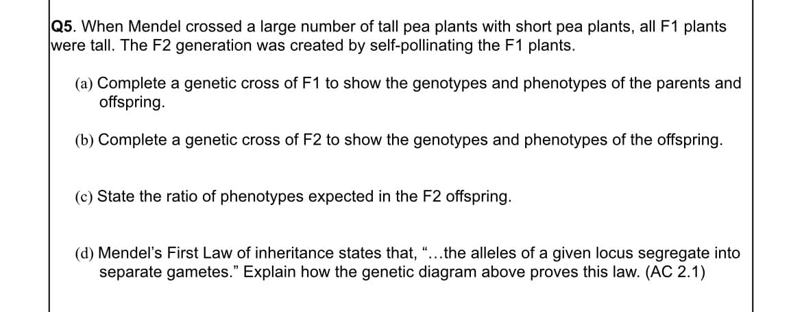 Q5. When Mendel crossed a large number of tall pea plants with short pea plants, all F1 plants
were tall. The F2 generation was created by self-pollinating the F1 plants.
(a) Complete a genetic cross of F1 to show the genotypes and phenotypes of the parents and
offspring.
(b) Complete a genetic cross of F2 to show the genotypes and phenotypes of the offspring.
(c) State the ratio of phenotypes expected in the F2 offspring.
(d) Mendel's First Law of inheritance states that, “...the alleles of a given locus segregate into
separate gametes." Explain how the genetic diagram above proves this law. (AC 2.1)
