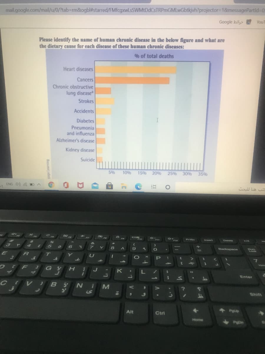 mail.google.com/mail/u/0/?tab-rm&ogbl#starred/FMfcgxwLsSWMtDdCsTRPmGMLwGbtkjvh?projector=1&messagePartld-D0
Google bil YouT
Please identify the name of human chronic disease in the below figure and what are
the dietary cause for each disease of these human chronic diseases:
% of total deaths
Heart diseases
Cancers
Chronic obstructive
lung disease
Strokes
Accidents
Diabetes
Pneumonia
and influenza
Alzheimer's disease
Kidney disease
Suicide
5%
10%
15% 20%
25% 30% 35%
ENG 40) G DA
l lia s
F8
F10
PriSo
Insert
F12
Delete
V-IW
2.
3
6.
V.
8
Backspace
Mum
Lock
T
C F J
G Y
HiJ
к -
Enter
6
V
BY N iM
(S
Shift
Alt
Ctri
Home
и
...
P
Buueaj aded
