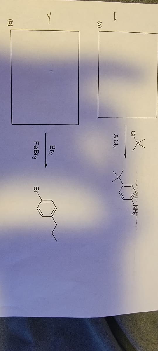 D GI"
AICI3
(a)
Br2
FeBr3
Br
(b)

