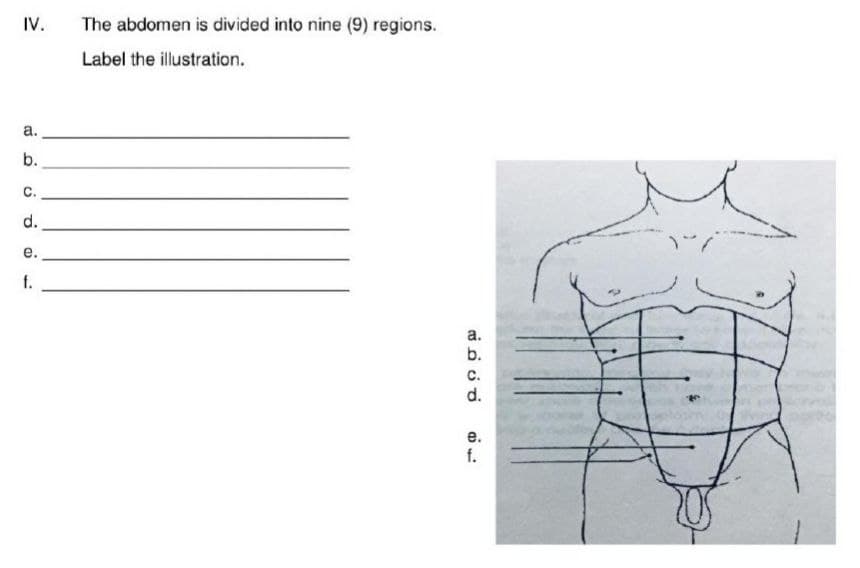 IV.
a.
b.
O
C.
d.
e.
f.
The abdomen is divided into nine (9) regions.
Label the illustration.
a.
b.
C.
d.
e.
f.
