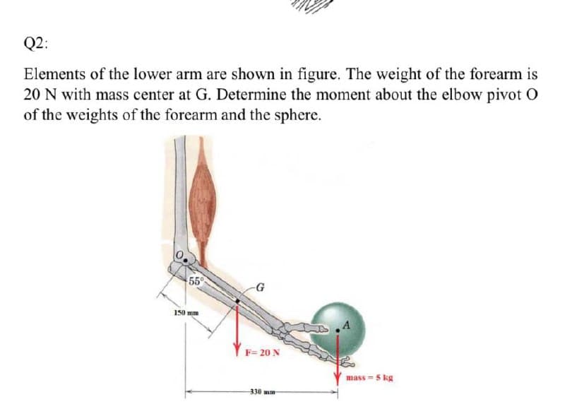 Q2:
Elements of the lower arm are shown in figure. The weight of the forearm is
20 N with mass center at G. Determine the moment about the elbow pivot O
of the weights of the forearm and the sphere.
55
G
150 mm
F= 20 N
mass = 5 kg
330 mm
