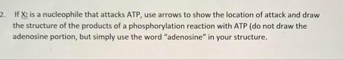 2. If X: is a nucleophile that attacks ATP, use arrows to show the location of attack and draw
the structure of the products of a phosphorylation reaction with ATP (do not draw the
adenosine portion, but simply use the word "adenosine" in your structure.