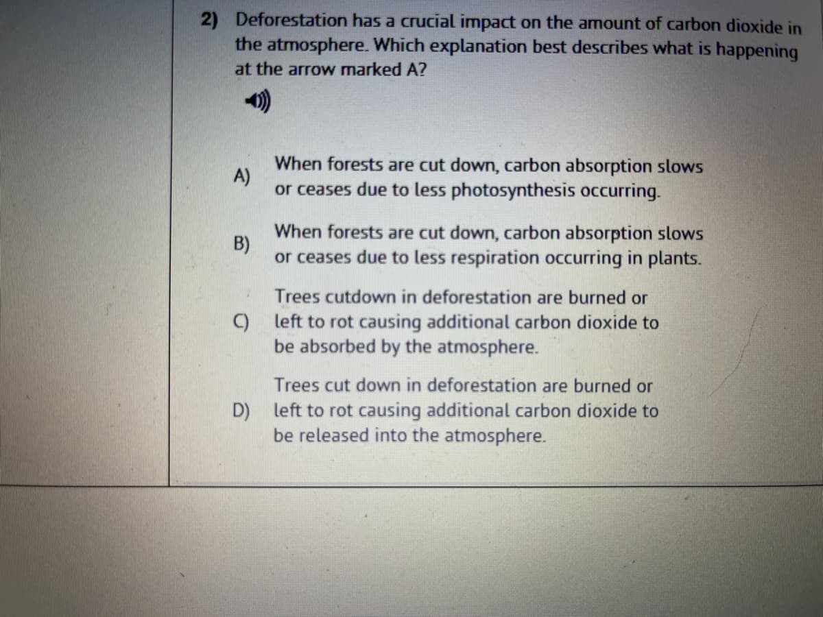 2) Deforestation has a crucial impact on the amount of carbon dioxide in
the atmosphere. Which explanation best describes what is happening
at the arrow marked A?
A)
When forests are cut down, carbon absorption slows
or ceases due to less photosynthesis occurring.
B)
When forests are cut down, carbon absorption slows
or ceases due to less respiration occurring in plants.
Trees cutdown in deforestation are burned or
C) left to rot causing additional carbon dioxide to
be absorbed by the atmosphere.
Trees cut down in deforestation are burned or
D) left to rot causing additional carbon dioxide to
be released into the atmosphere.