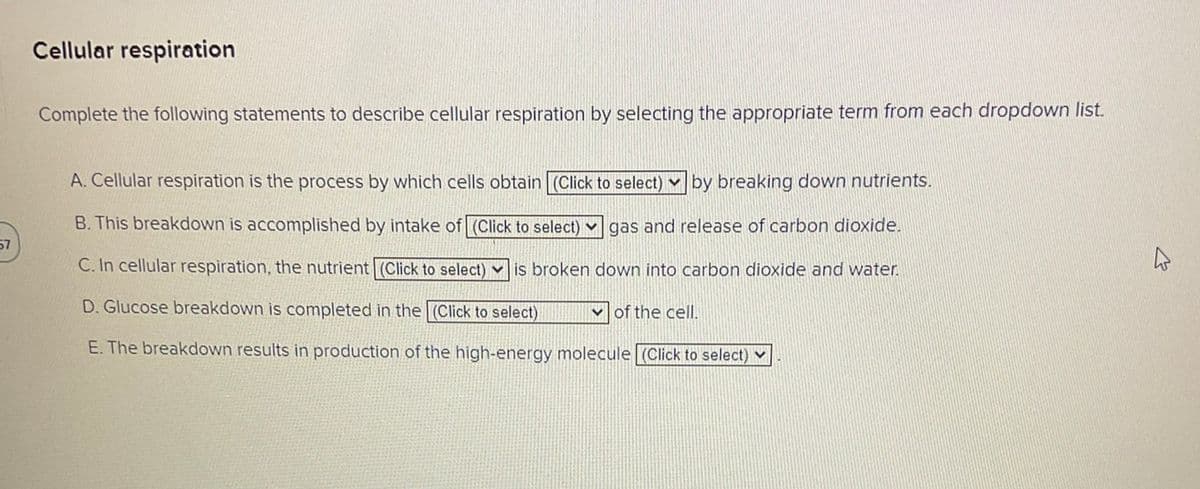 57
Cellular respiration
Complete the following statements to describe cellular respiration by selecting the appropriate term from each dropdown list.
A. Cellular respiration is the process by which cells obtain (Click to select) by breaking down nutrients.
B. This breakdown is accomplished by intake of (Click to select)
gas and release of carbon dioxide.
C. In cellular respiration, the nutrient (Click to select) is broken down into carbon dioxide and water.
D. Glucose breakdown is completed in the (Click to select)
E. The breakdown results in production of the high-energy molecule (Click to select)
of the cell.
2