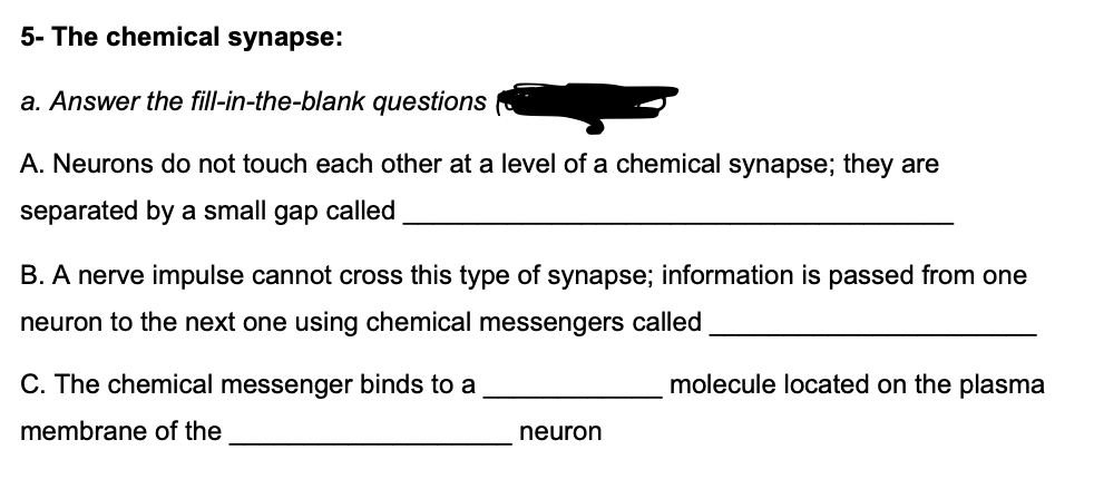 5- The chemical synapse:
a. Answer the fill-in-the-blank questions
A. Neurons do not touch each other at a level of a chemical synapse; they are
separated by a small gap called
B. A nerve impulse cannot cross this type of synapse; information is passed from one
neuron to the next one using chemical messengers called
C. The chemical messenger binds to a
molecule located on the plasma
membrane of the
neuron
