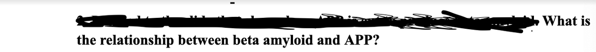 What is
the relationship between beta amyloid and APP?
